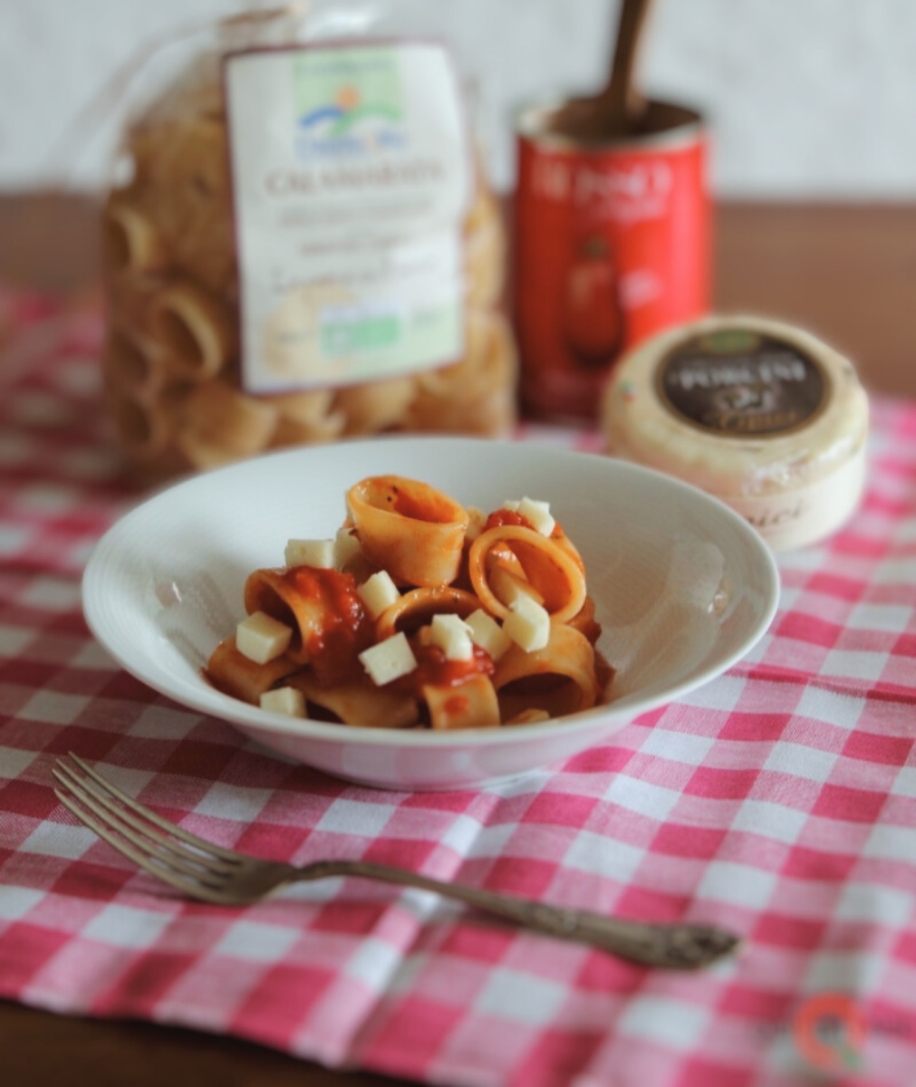 Calamarata al Sugo e Formaggio ai Funghi Porcini