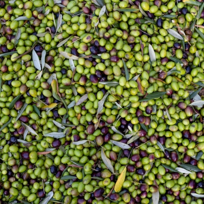 Immagine per la categoria Olio, passate e condimenti
