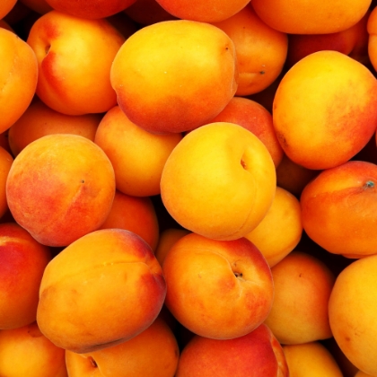 Immagine per la categoria Bevande e succhi di frutta