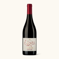 Immagine di Syrah Terre Siciliane IGP Suluq 75cl