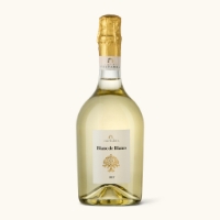 Immagine di Blanc de Blancs Millesimato Brut 75cl