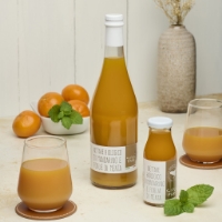 Nettare Bio Di Mandarino E Foglia Di Menta 200ml, frontale due formati mandarini e bicchiere pieno