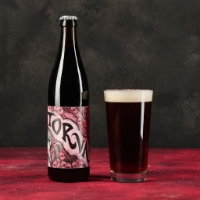 Irish STout Torva, vista frontale Sfondo Nero e Magenta