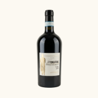 Immagine di Il Fondatore - Montepulciano d'Abruzzo DOP Riserva 75cl