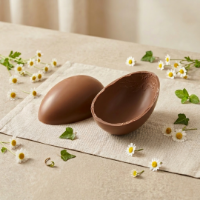 Immagine di Uovo di Pasqua al Cioccolato al Latte 220g