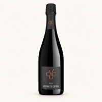 Immagine di Franciacorta DOCG Brut 75cl